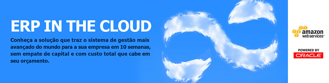 ERP in the Cloud