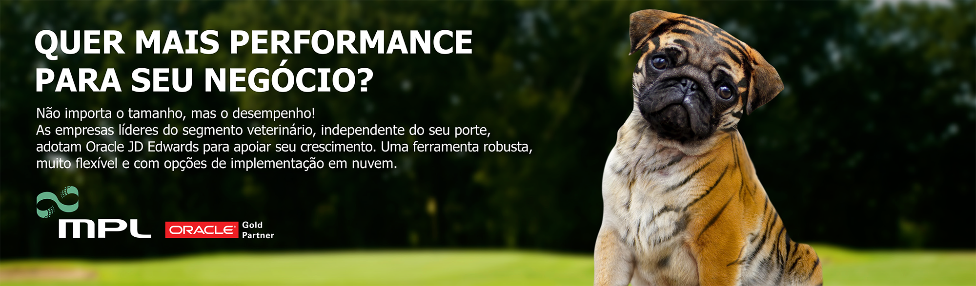 oracle jd edwards para segmento veterinário