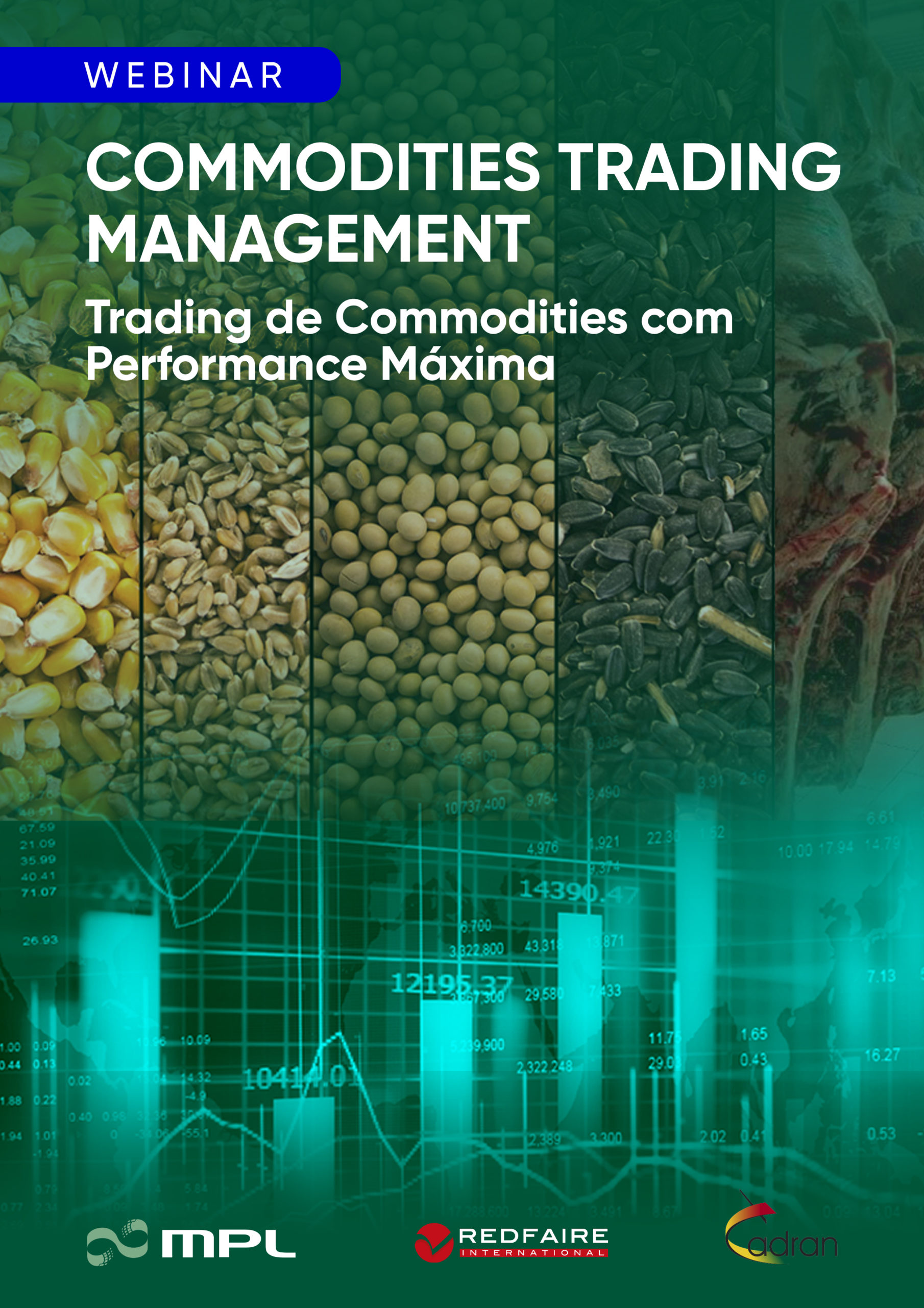 MPL CTRM Lamina Versao portugues 02 A4 scaled