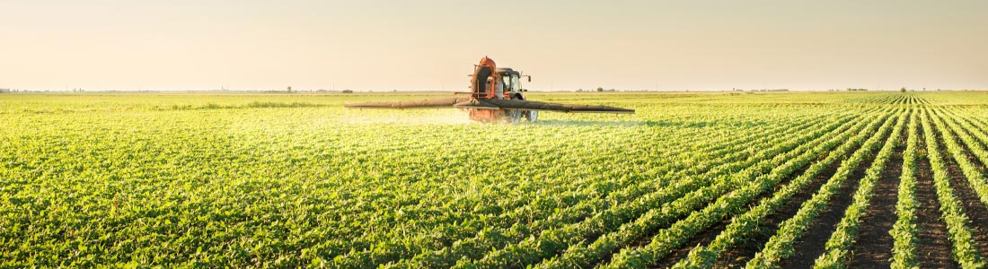 agronegocio 1100 × 300 px 1