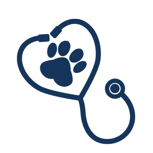 icone farmaceutico 2