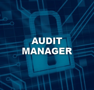 Audit manager