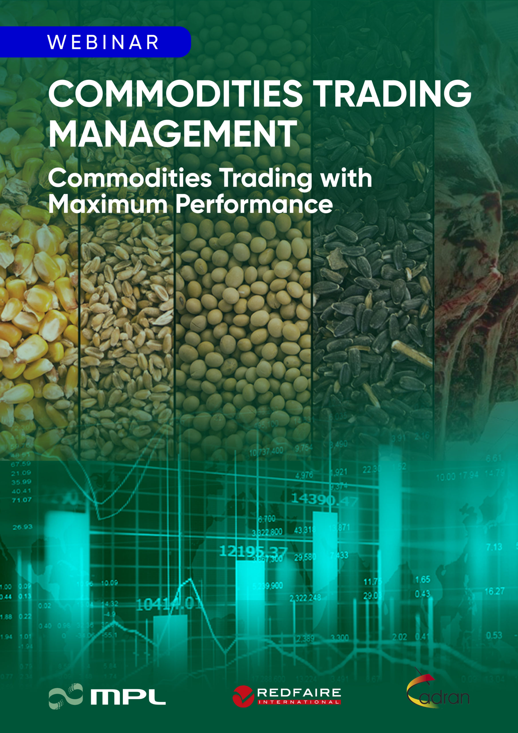 MPL CTRM Lamina Versao portugues 02 A4 scaled