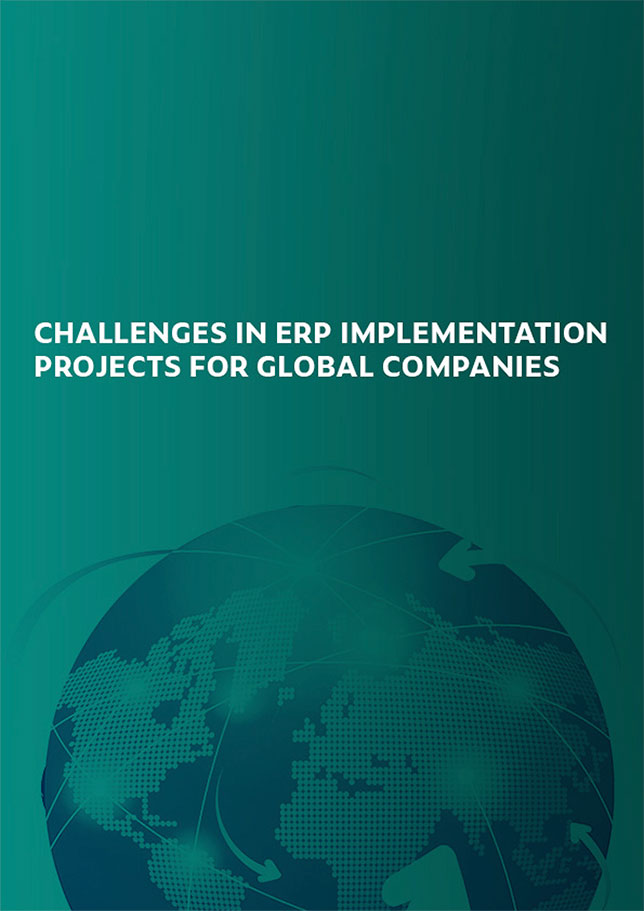 MPL White Paper Desafios ERP PT