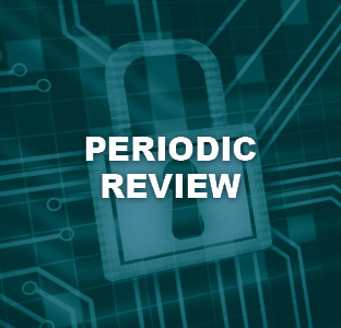 Periodic Review