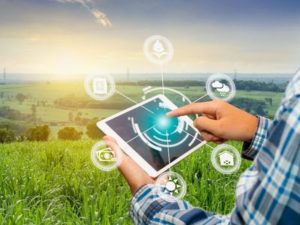 apoio no trabalho de campo