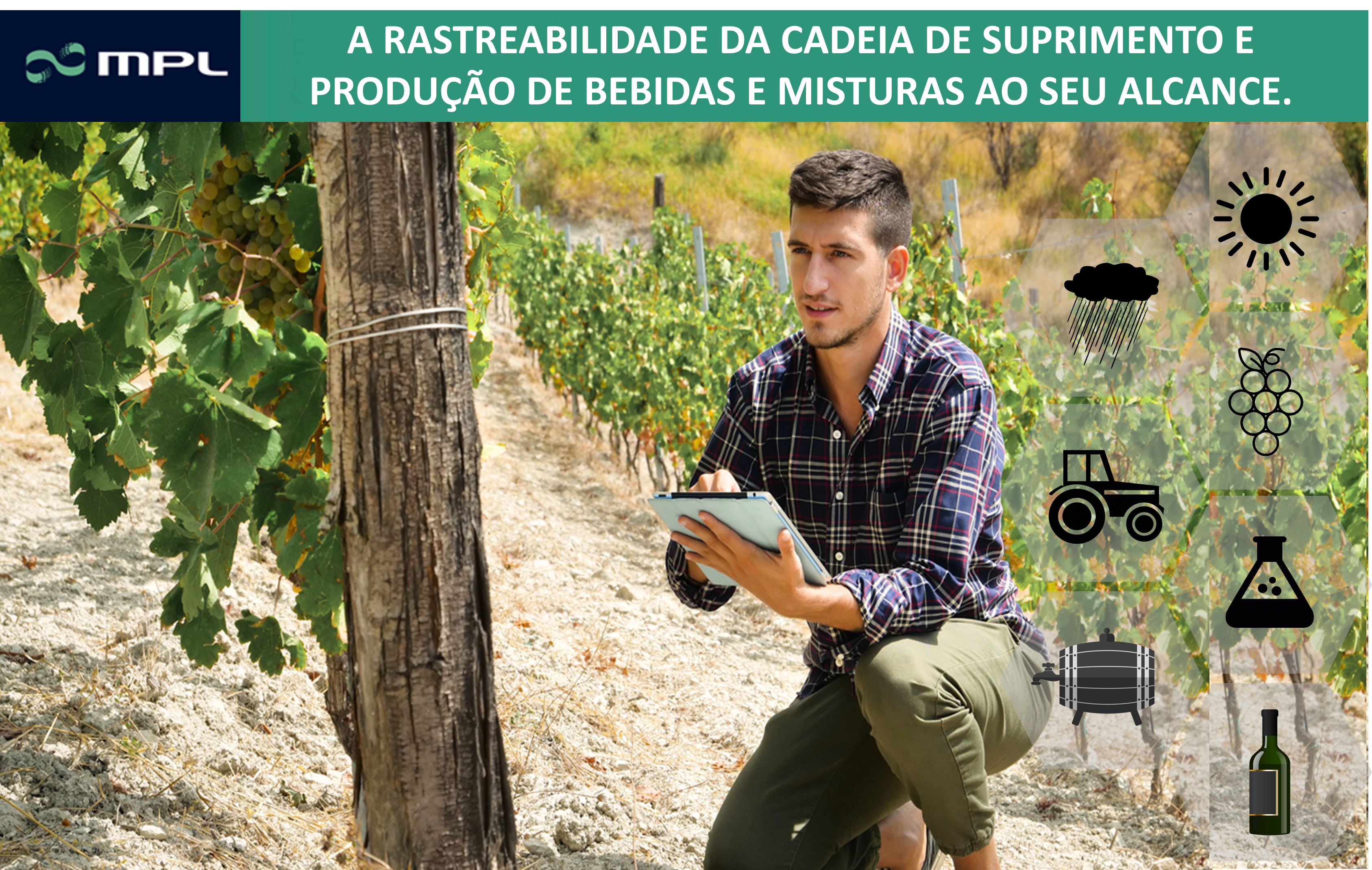 Post Rastreabilidade